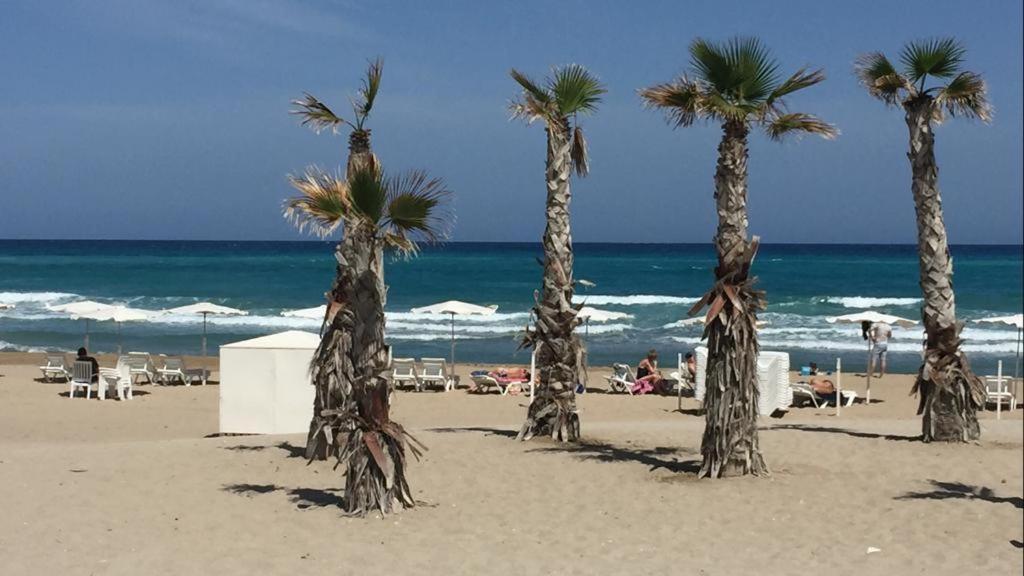 Neptuno - Primera Linea De Playa Apartment El Campello