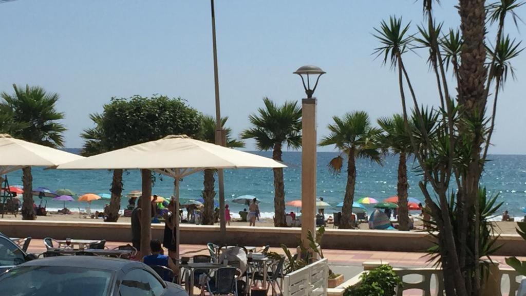 Neptuno - Primera Linea De Playa Apartamento *